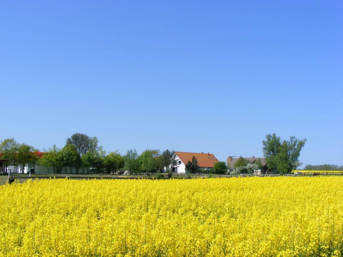 Reitanlage Bei Altefähr